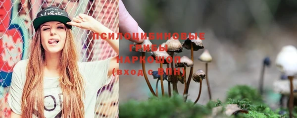 а пвп мука Верея