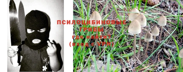 а пвп мука Верея