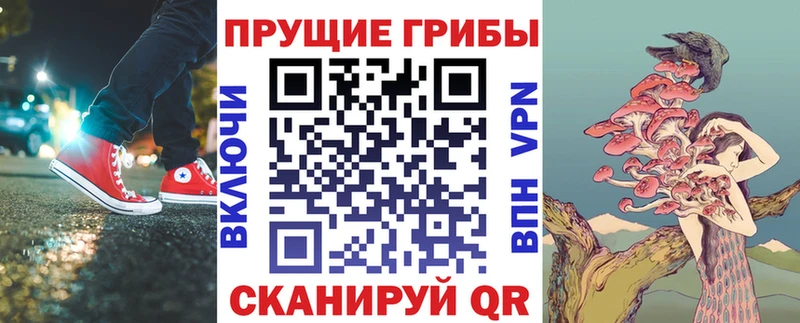 Псилоцибиновые грибы Magic Shrooms  площадка формула  Кировск 